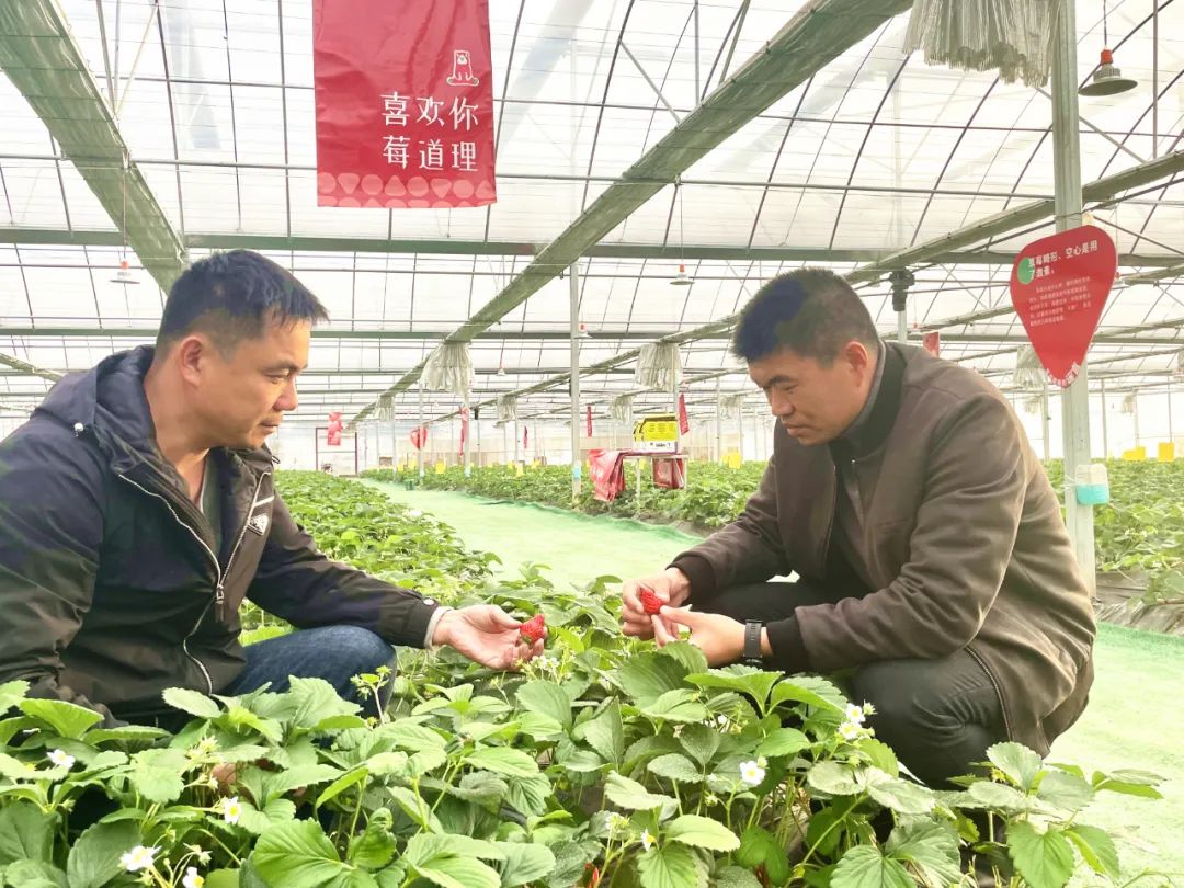 院士之鄉擴大“朋友圈”，福州高新區這里聚起發展人氣