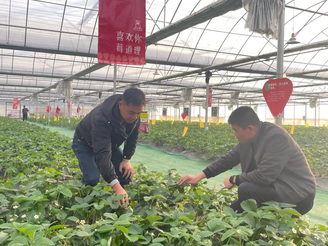 院士之鄉擴大“朋友圈”，福州高新區這里聚起發展人氣