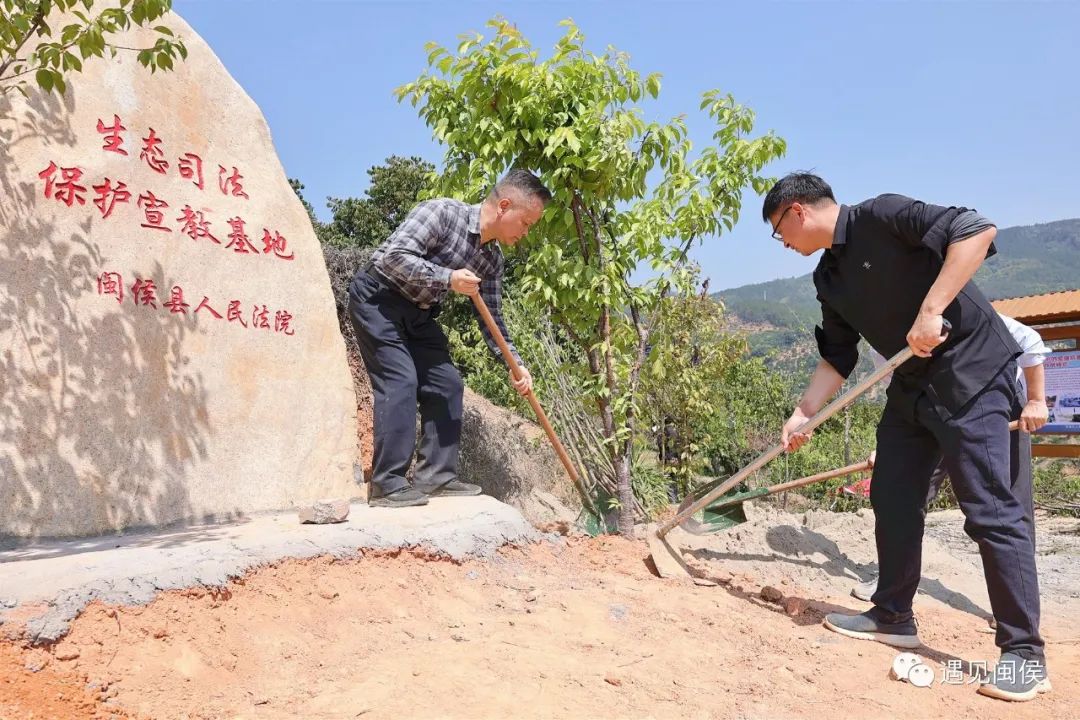 揭牌！閩侯這片樹林很特別！