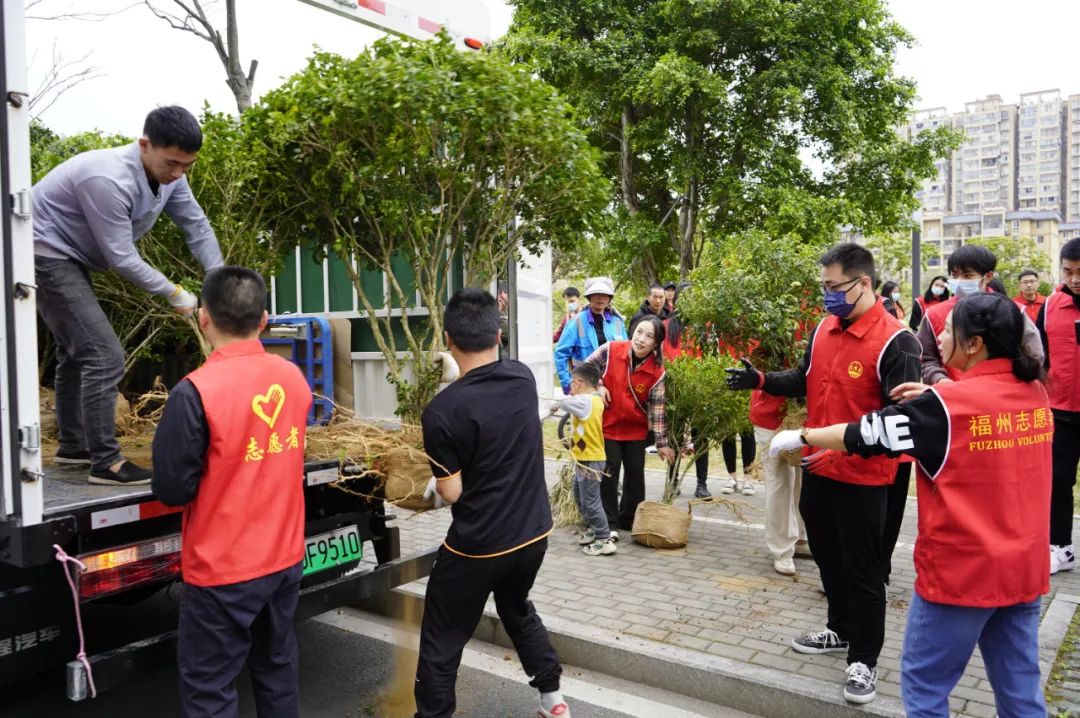 贊！愛心樹苗扎根福州高新區