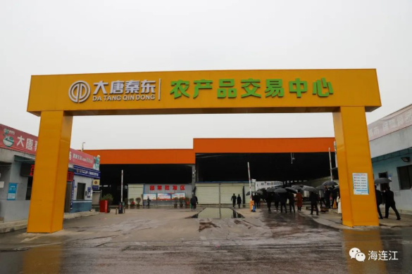 越走越親！今天，連蒲兩地再尋發力點