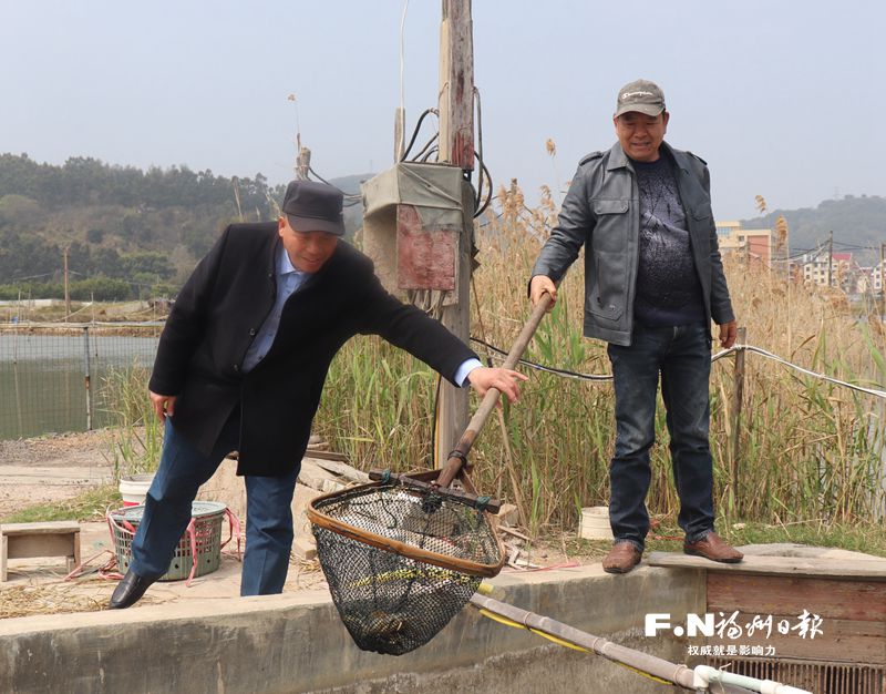 馬尾瑯岐養(yǎng)殖戶組團(tuán)謀發(fā)展 把小青蟹做成大產(chǎn)業(yè)