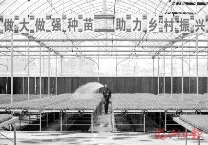 搶抓農時　奏響春耕進行曲