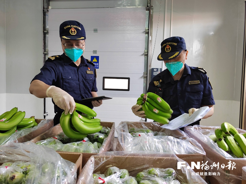 馬尾海關創新監管模式 進口水果通關僅用半小時