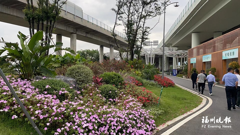 福州高新區施了“法” 橋下垃圾堆變花園