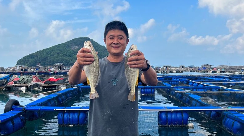 網(wǎng)箱養(yǎng)殖魚“補(bǔ)位”上市 福州休漁期不斷“鮮”