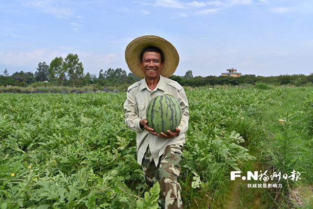 連江丹陽西瓜喜豐收