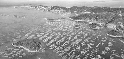 連江“海洋文化季”系列活動來啦
