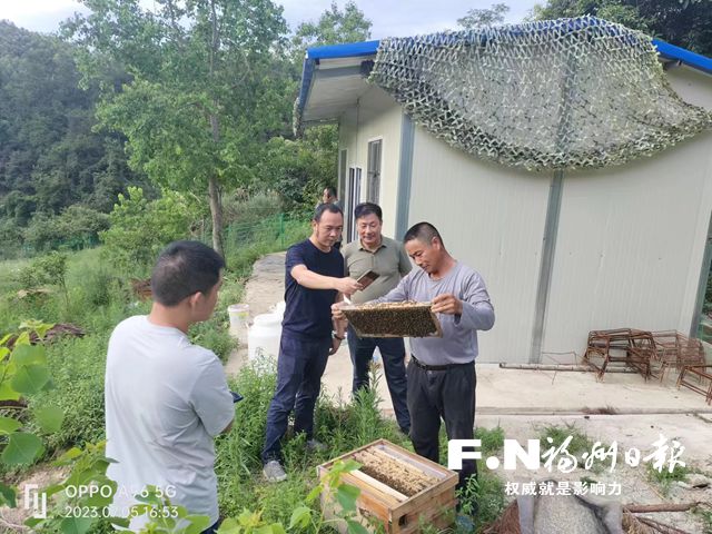 端起“生態碗”蹚出致富路  連江黨建引領推動“一村一品”