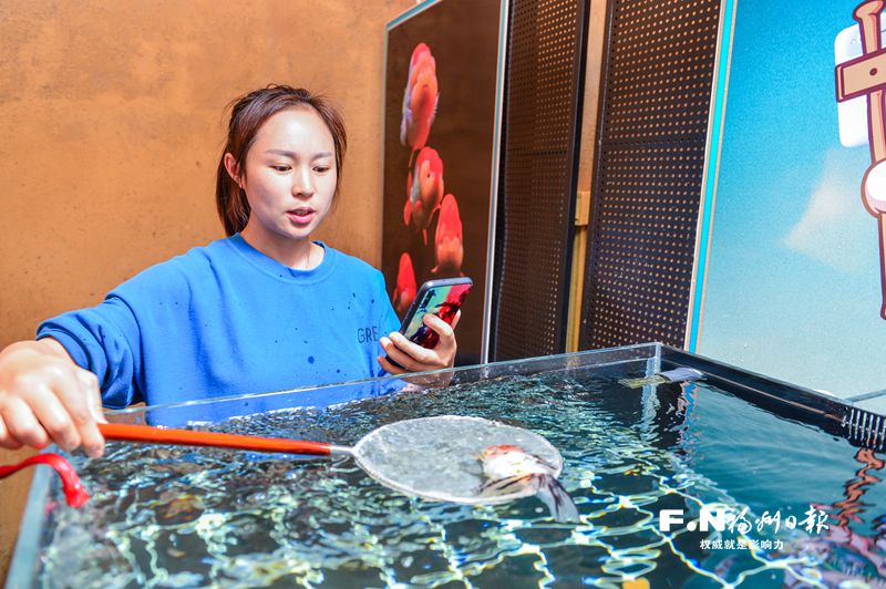 閩侯金魚再登央視《新聞聯播》 小魚兒游出大產業
