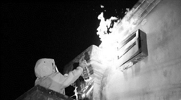 秋季高“蜂”期　這些事項需注意