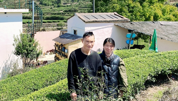 南洋風情入茶山 “僑二代”開辦民宿留住鄉愁記憶