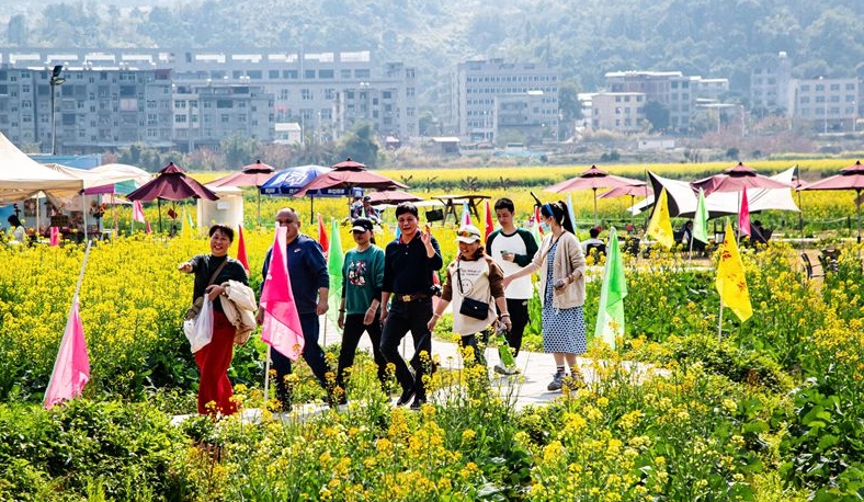 閩侯鴻尾賞花經濟漸入佳境 五彩油菜花扮靚鄉村全面振興路