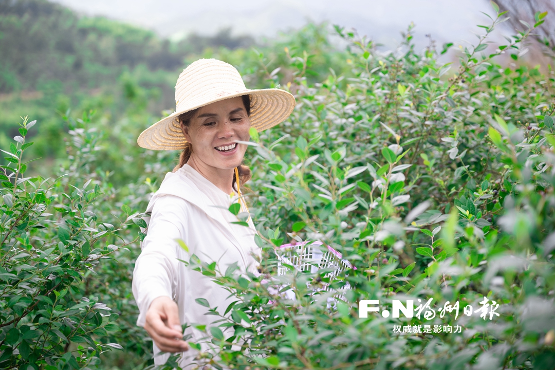 秋豐悅農(nóng)場打造閩侯白沙新晉網(wǎng)紅打卡地