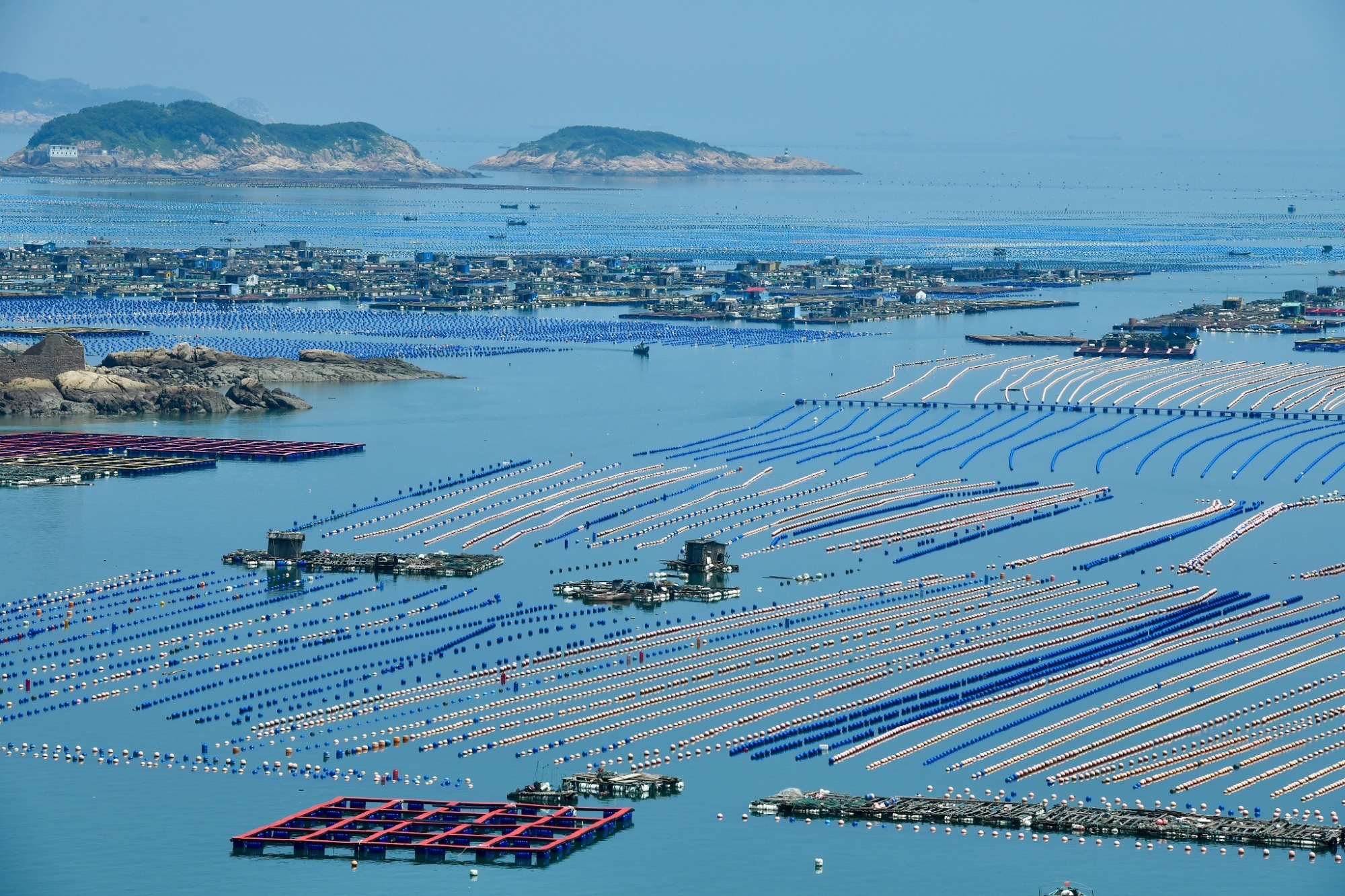 連江黃岐半島海域：福州新增一處國家級(jí)海洋牧場(chǎng)