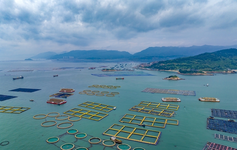 第九批國家級海洋牧場名單公示 連江產生福建省唯一入圍項目