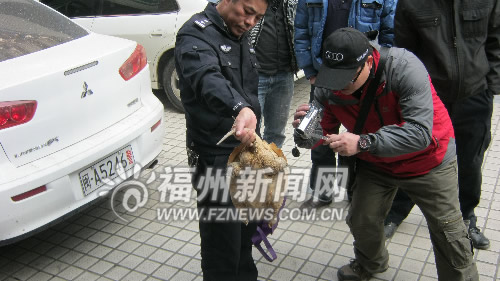 福州新聞網(wǎng)