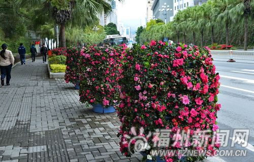 福州新聞網(wǎng)