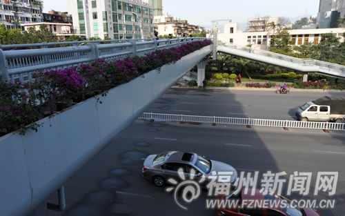 福州新聞網