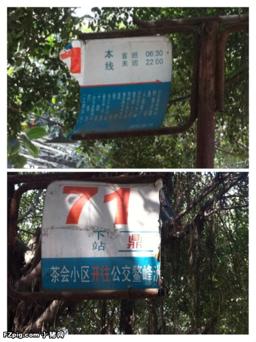 福州新聞網