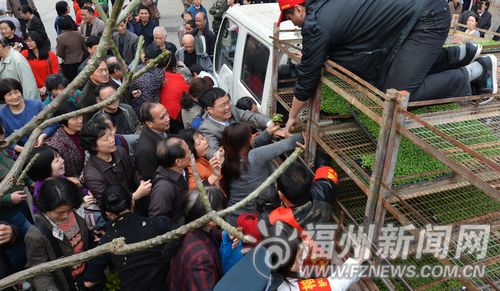 福州新聞網