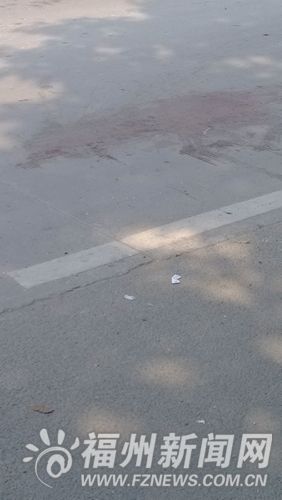 福州新聞網