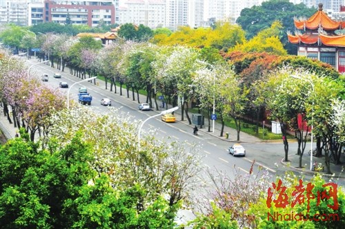 福州新聞網(wǎng)