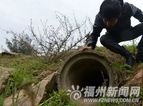 福州新聞網