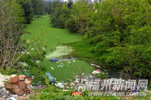 福州新聞網