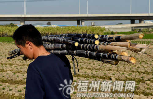 福州新聞網(wǎng)