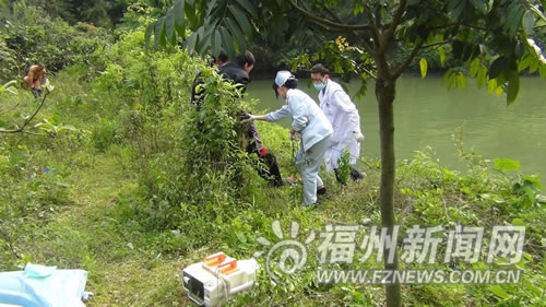 福州新聞網