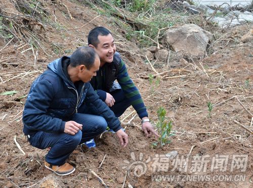 福州新聞網(wǎng)