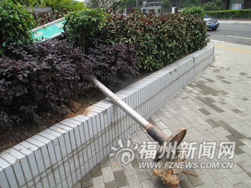 福州新聞網