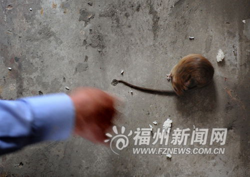 福州新聞網(wǎng)