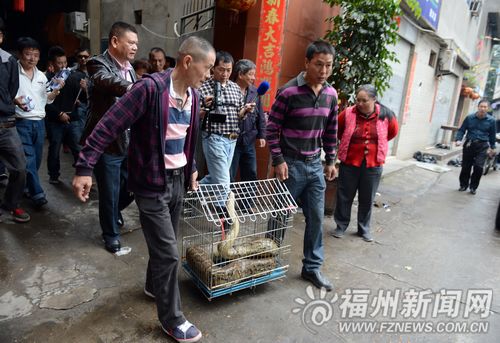 福州新聞網