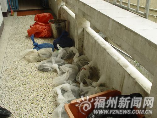 福州新聞網