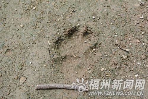 福州新聞網