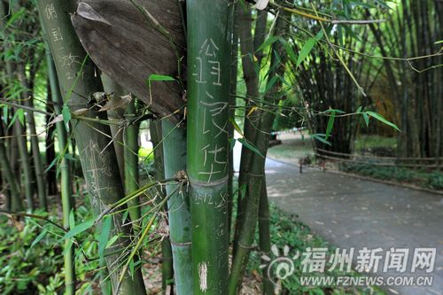 福州新聞網
