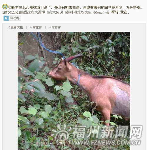 福州新聞網