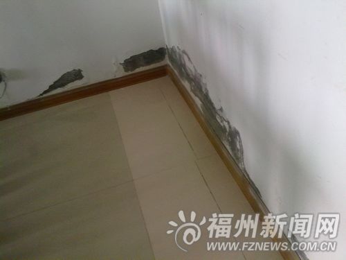 福州新聞網
