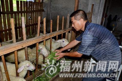 福州新聞網