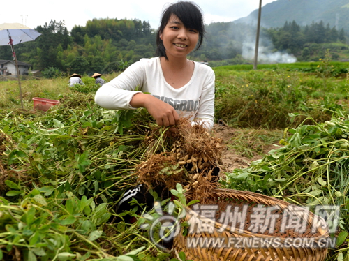 福州新聞網