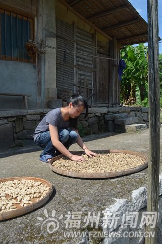福州新聞網
