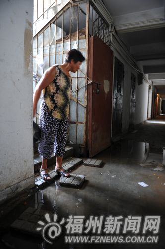 福州新聞網