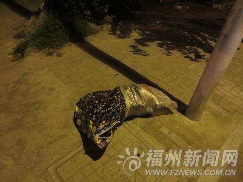 福州新聞網