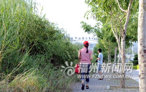 福州新聞網(wǎng)