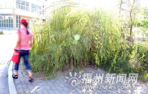 福州新聞網