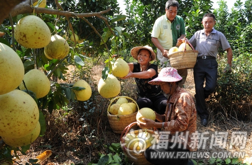 福州新聞網