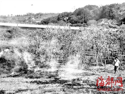 福州新聞網