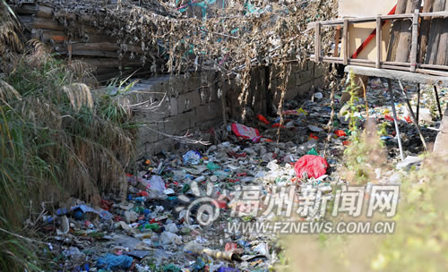 福州新聞網
